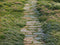 Kate Printemps Jardin Allée Sol Toile de fond conçue par Emetselch - Kate Backdrop FR