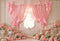 Kate Fleurs Rose Fenêtre Rideau Nœud Toile de fond conçue par Emetselch - Kate Backdrop FR