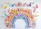 Kate Papier Arc-en-ciel Fleurs Papillons Toile de fond conçue par Kerry Anderson - Kate Backdrop FR