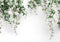 Kate Blanc Fleurs Mariage Printemps Toile de fond conçue par Kerry Anderson - Kate Backdrop FR