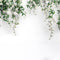 Kate Blanc Fleurs Mariage Printemps Toile de fond conçue par Kerry Anderson - Kate Backdrop FR