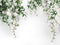 Kate Blanc Fleurs Mariage Printemps Toile de fond conçue par Kerry Anderson - Kate Backdrop FR