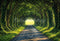 Kate Printemps Forêt Ensoleillé Chemin Toile de fond conçue par Emetselch - Kate Backdrop FR