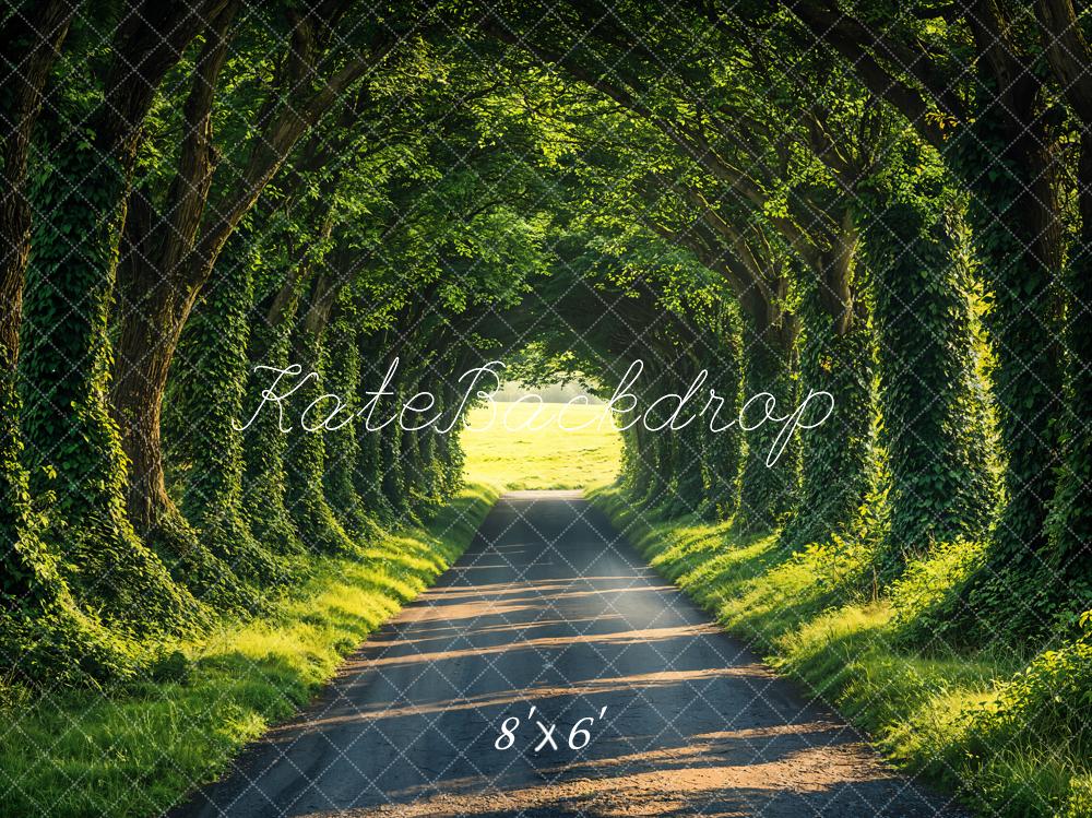 Kate Printemps Forêt Ensoleillé Chemin Toile de fond conçue par Emetselch - Kate Backdrop FR