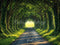 Kate Printemps Forêt Ensoleillé Chemin Toile de fond conçue par Emetselch - Kate Backdrop FR