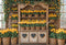 Kate Printemps Tulipe Étagère à Fleurs Rustique Toile de fond conçue par Emetselch - Kate Backdrop FR