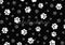 Kate Noir & Blanc Motif de Patte Toile de fond conçue par Mandy Ringe - Kate Backdrop FR