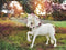 Kate Extérieur Arc-en-ciel Licorne Prairie Toile de fond conçue par Mandy Ringe - Kate Backdrop FR