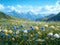Kate Printemps Montagne Fleurs Toile de fond conçue par Mini MakeBelieve - Kate Backdrop FR