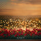 Kate Saint Valentin Bokeh Roses Lumières Toile de fond conçue par Mini MakeBelieve - Kate Backdrop FR