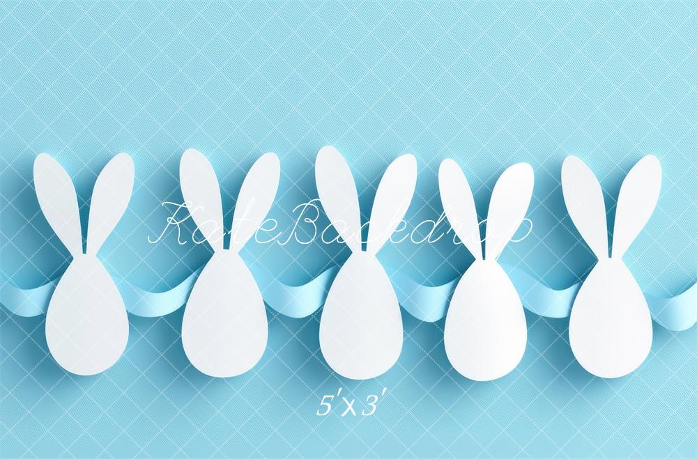Kate Pâques Illustration Lapin Œufs Toile de fond conçue par Mini MakeBelieve - Kate Backdrop FR