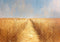 Kate Beaux-arts Champs de blé Jaune Toile de fond conçue par Mini MakeBelieve - Kate Backdrop FR
