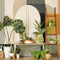 Kate Milieu du siècle Moderne Plante Toile de fond conçue par Mandy Ringe - Kate Backdrop FR