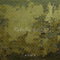 Kate Vert olive Abstrait Portrait Toile de fond conçue par Mandy Ringe - Kate Backdrop FR