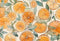 Kate Aquarelle Oranges Enfant Toile de fond conçue par Mandy Ringe - Kate Backdrop FR