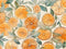 Kate Aquarelle Oranges Enfant Toile de fond conçue par Mandy Ringe - Kate Backdrop FR