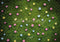 Kate Printemps Fleurs Prairie Sol Toile de fond conçue par Mini MakeBelieve - Kate Backdrop FR