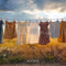 Kate Été Linge Corde à linge Toile de fond conçue par Mini MakeBelieve - Kate Backdrop FR