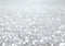 Kate Blanc Bokeh Lumières Toile de fond conçue par Mini MakeBelieve - Kate Backdrop FR