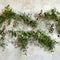 Kate Printemps Notes de Musique Verdure Toile de fond conçue par Patty Roberts - Kate Backdrop FR