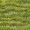 Kate Pâques Œuf Vert Prairie Sol Toile de fond conçue par Emetselch - Kate Backdrop FR