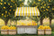 Kate Été Stand de Citron Verger Toile de fond conçue par Emetselch - Kate Backdrop FR