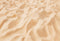 Kate Plage Sable Sol Toile de fond conçue par Emetselch - Kate Backdrop FR