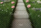 Kate Prairie Vert Fleurs Chemin Sol Toile de fond conçue par Mini MakeBelieve - Kate Backdrop FR
