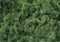 Kate Mousse Herbe Vert Sol Toile de fond conçue par Mini MakeBelieve - Kate Backdrop FR