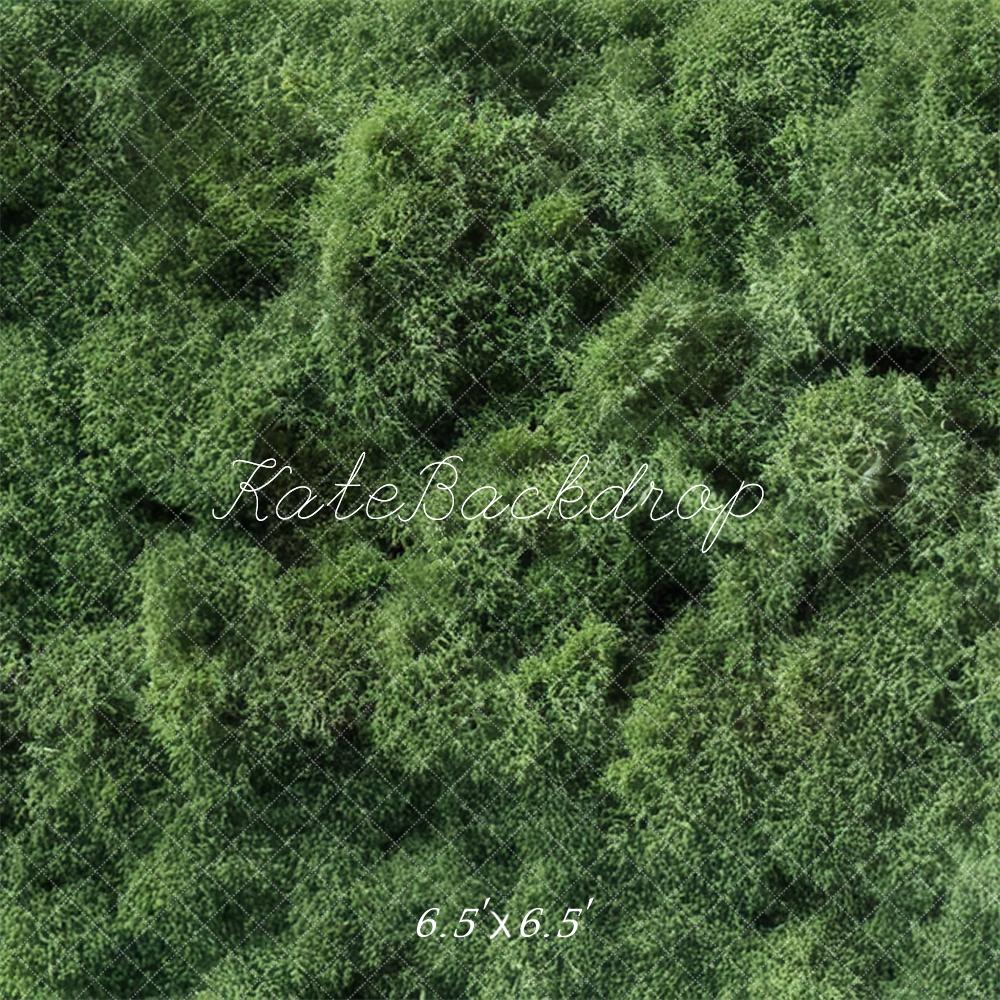 Kate Mousse Herbe Vert Sol Toile de fond conçue par Mini MakeBelieve - Kate Backdrop FR