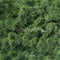 Kate Mousse Herbe Vert Sol Toile de fond conçue par Mini MakeBelieve - Kate Backdrop FR