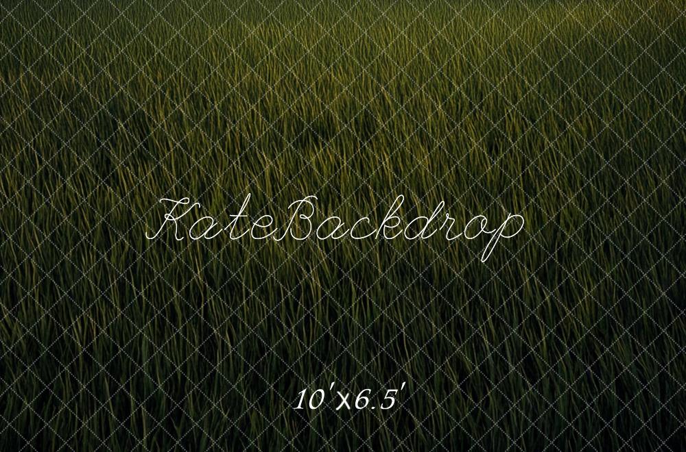 Kate Prairie Herbe Vert Sol Toile de fond conçue par Mini MakeBelieve - Kate Backdrop FR