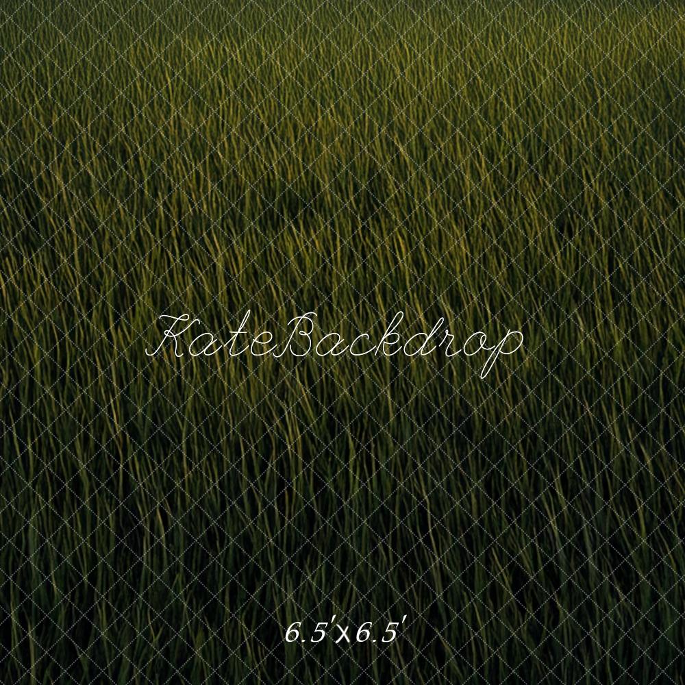 Kate Prairie Herbe Vert Sol Toile de fond conçue par Mini MakeBelieve - Kate Backdrop FR