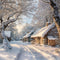 Kate Hiver Neige Village Arbres Toile de fond conçue par Emetselch - Kate Backdrop FR