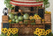 Kate Été Tournesol Pastèque Caisses en bois Toile de fond conçue par Emetselch - Kate Backdrop FR