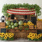 Kate Été Tournesol Pastèque Caisses en bois Toile de fond conçue par Emetselch - Kate Backdrop FR
