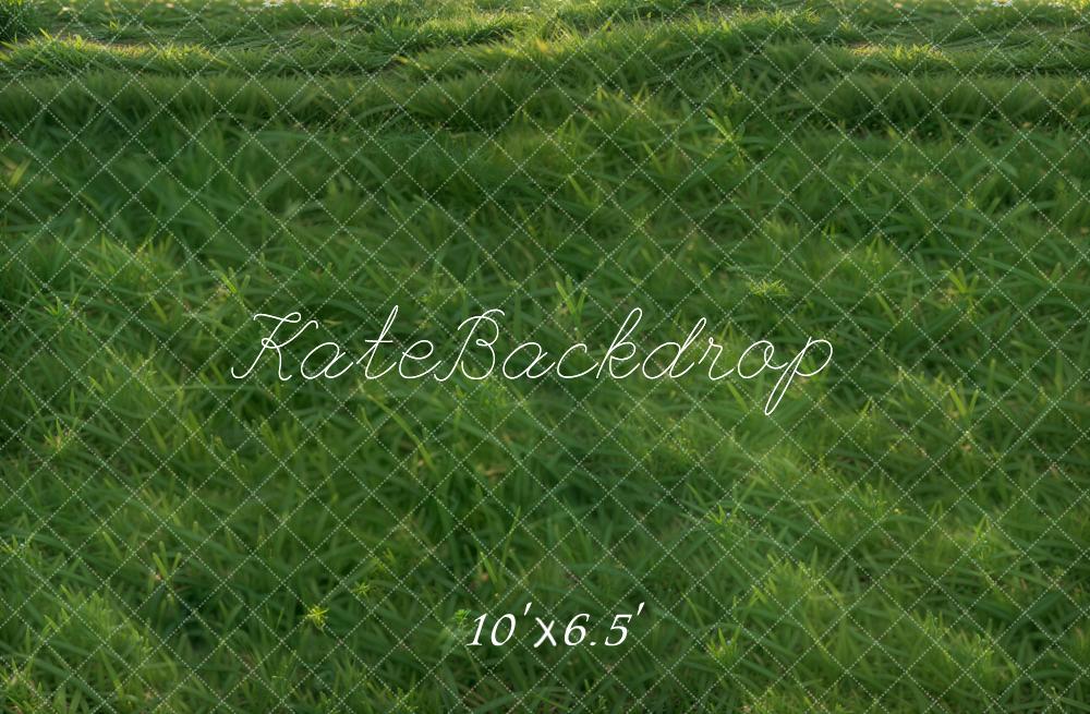 Kate Pelouse Herbe Vert Sol Toile de fond conçue par Emetselch - Kate Backdrop FR