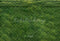 Kate Pelouse Herbe Vert Sol Toile de fond conçue par Emetselch - Kate Backdrop FR