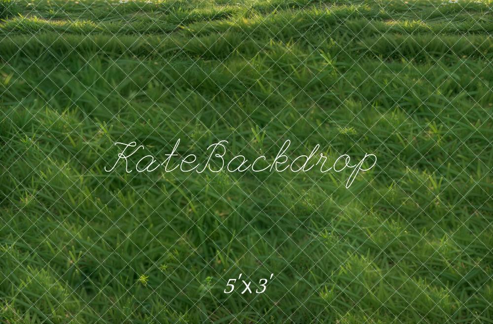 Kate Pelouse Herbe Vert Sol Toile de fond conçue par Emetselch - Kate Backdrop FR