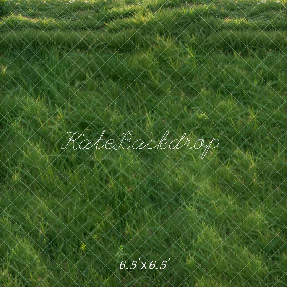 Kate Pelouse Herbe Vert Sol Toile de fond conçue par Emetselch - Kate Backdrop FR