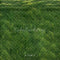 Kate Pelouse Herbe Vert Sol Toile de fond conçue par Emetselch - Kate Backdrop FR