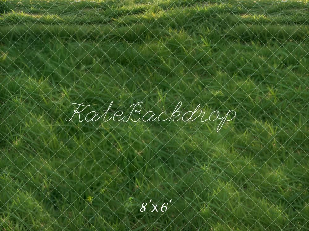Kate Pelouse Herbe Vert Sol Toile de fond conçue par Emetselch - Kate Backdrop FR