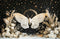 Kate Bohème Papillon de nuit Lune Fleurs Toile de fond conçu par Ashley Paul - Kate Backdrop FR