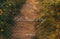 Kate Fleurs Chemin Brun Sol Toile de fond conçue par Emetselch - Kate Backdrop FR