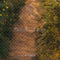 Kate Fleurs Chemin Brun Sol Toile de fond conçue par Emetselch - Kate Backdrop FR