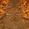 Kate Automne Tournesols Chemin Sol Toile de fond conçue par Emetselch - Kate Backdrop FR