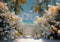 Kate Été Plage Fleurs Clôture Toile de fond conçue par Mini MakeBelieve - Kate Backdrop FR