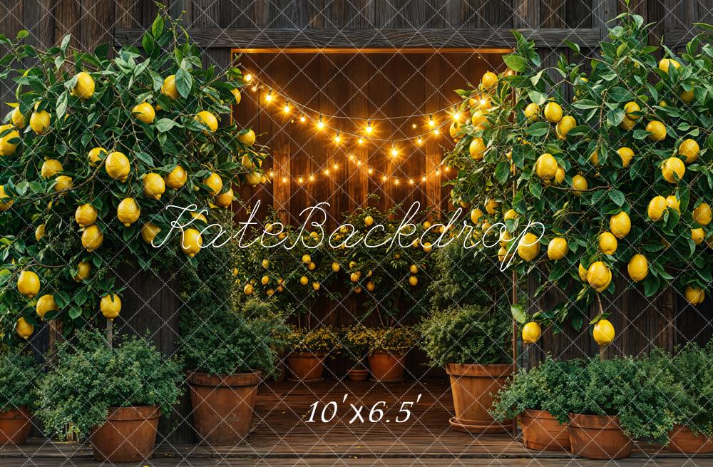 Kate Été Grange Citron Lumières Toile de fond conçue par Emetselch - Kate Backdrop FR