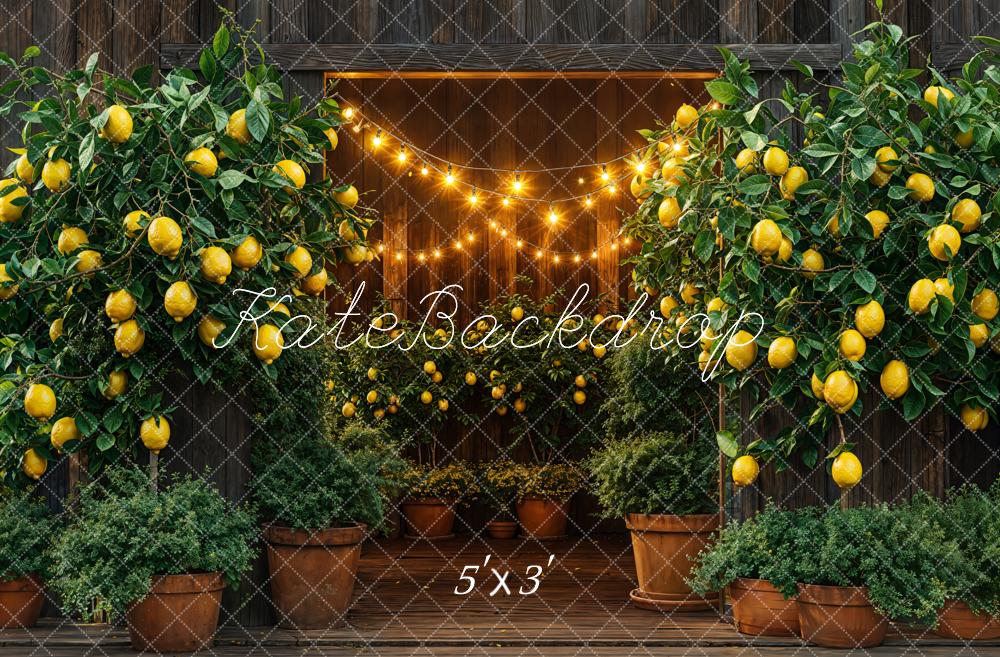 Kate Été Grange Citron Lumières Toile de fond conçue par Emetselch - Kate Backdrop FR
