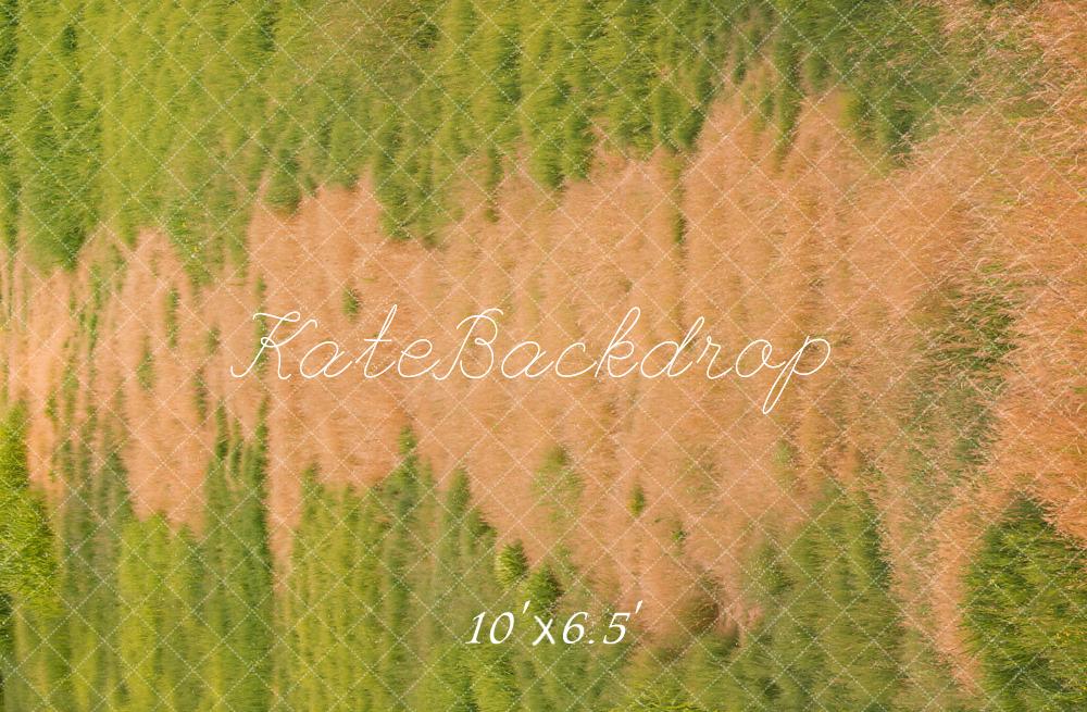 Kate Automne Herbe verte Chemin Sol Toile de fond conçue par Emetselch - Kate Backdrop FR